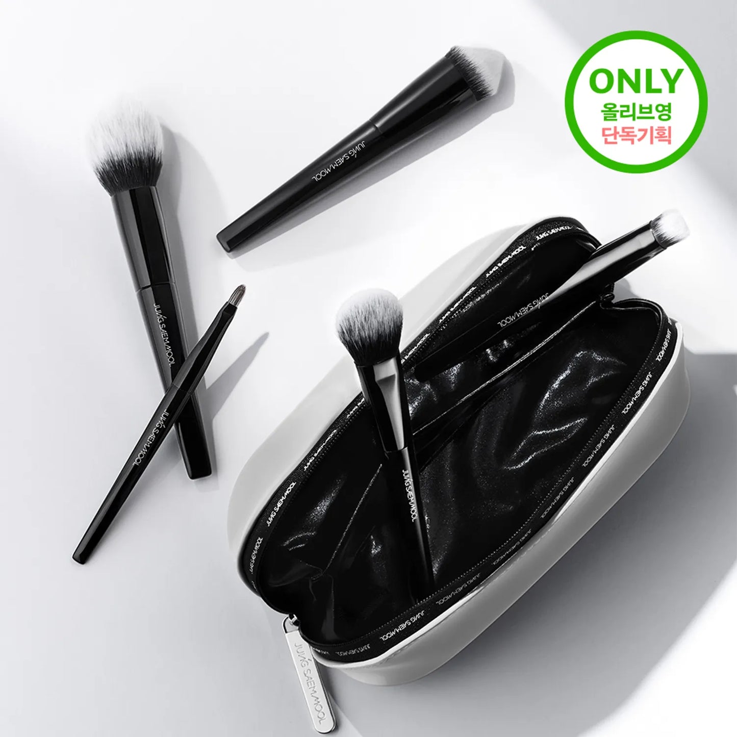 JUNGSAEMMOOL Masterclass Face Brush Portable Kit