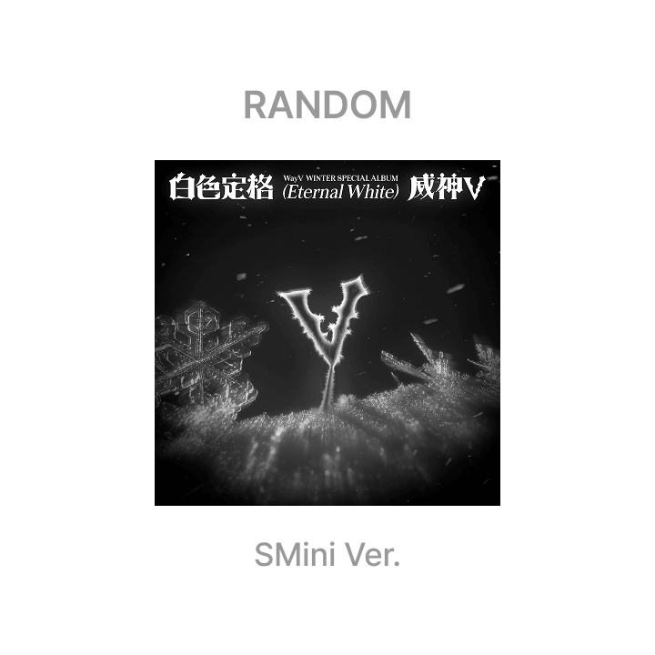 Комплект с капюшоном WAYV на молнии