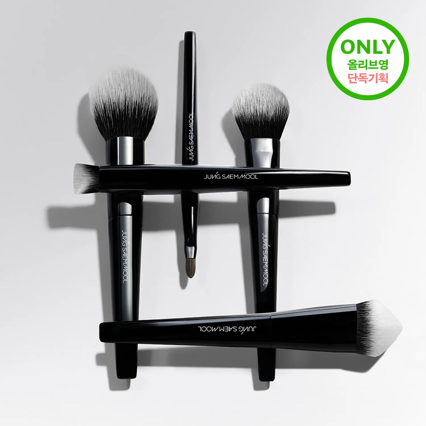 JUNGSAEMMOOL Masterclass Face Brush Portable Kit