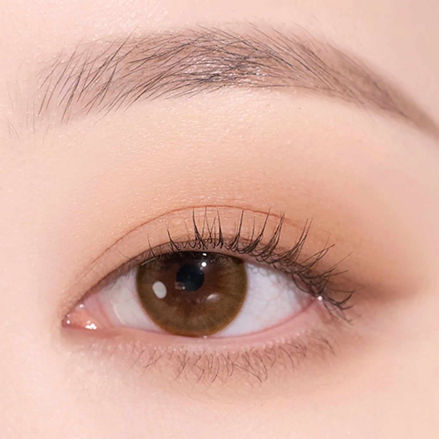 dasique Shadow Palette