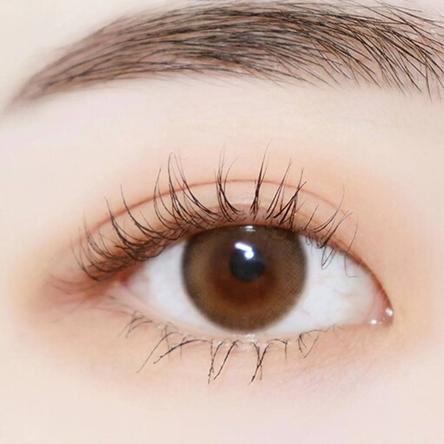 dasique Shadow Palette