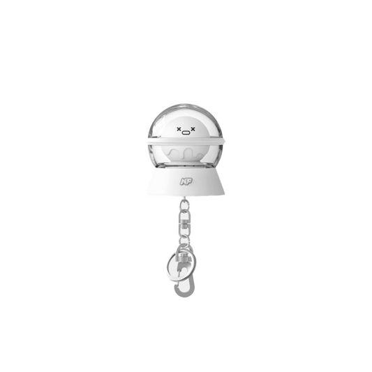 N.Flying Official Light Stick Keyring