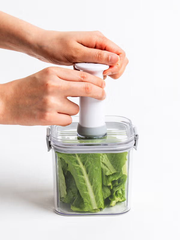 Vacuum Container Compressor Sealers [DAISO]