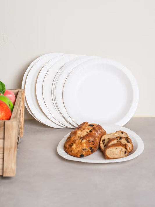 Plain Round Disposable Paper Plates 24cm x 10 Sheets [DAISO]