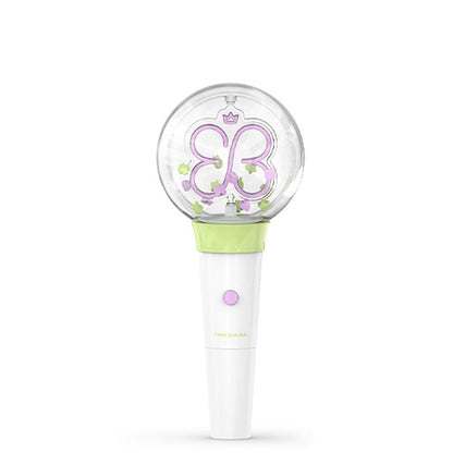 PARK EN BIN Official Light Stick